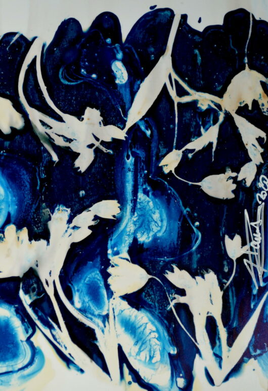Cyanotype à la stellaire – Image 2