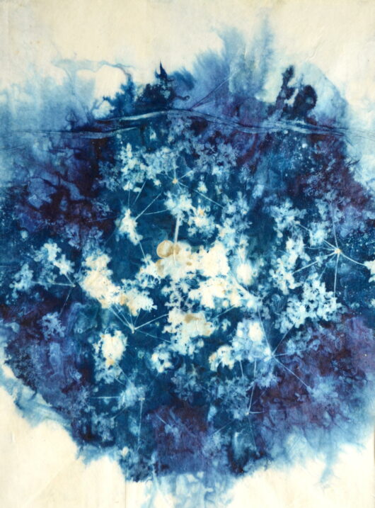 Cyanotype "maru" aux fleurs de printemps 2 – Image 2