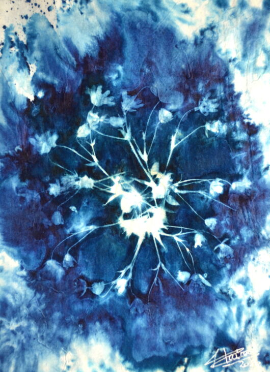Cyanotype "maru" aux fleurs de printemps 3 – Image 2