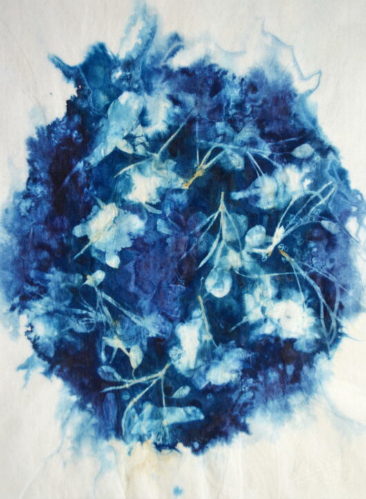 Cyanotype "maru" aux fleurs de printemps 4 – Image 2