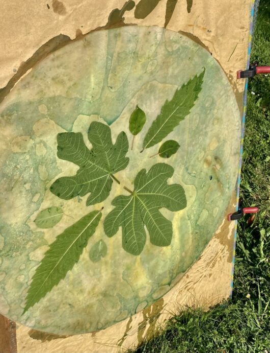 Tambour chamanique avec cyanotype aux feuilles de figuier – Image 2