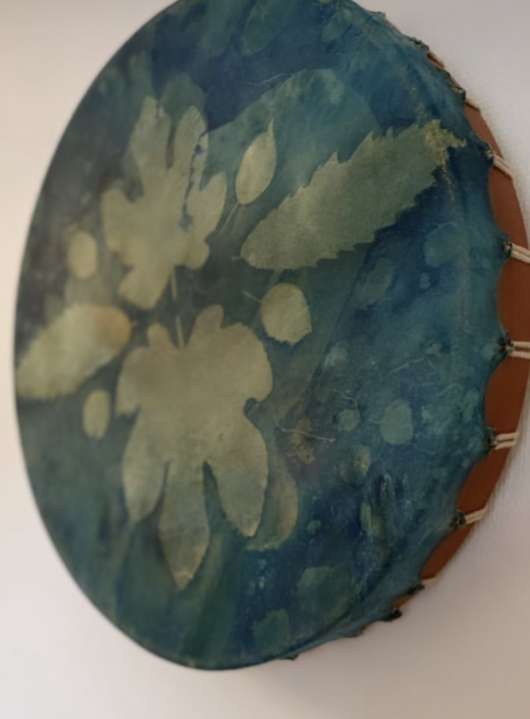 Tambour chamanique avec cyanotype aux feuilles de figuier