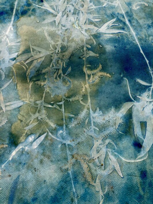 Tambour chamanique avec cyanotype au saule – Image 3