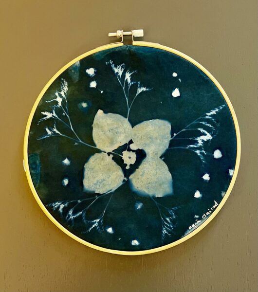 Cyanotype "bulle de bonheur" à la guimauve