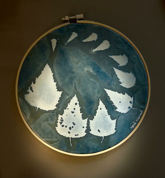 Cyanotype "bulle de bonheur" aux feuilles de guimauve