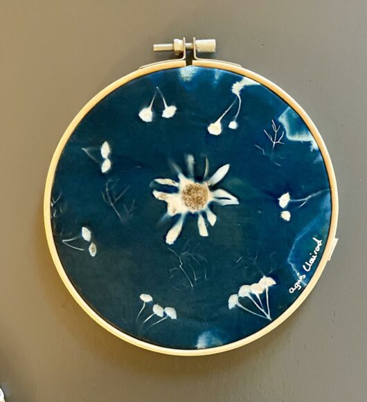 Cyanotype "bulle de bonheur" aux fleurs d'hélichryse et fleur d'échinacée
