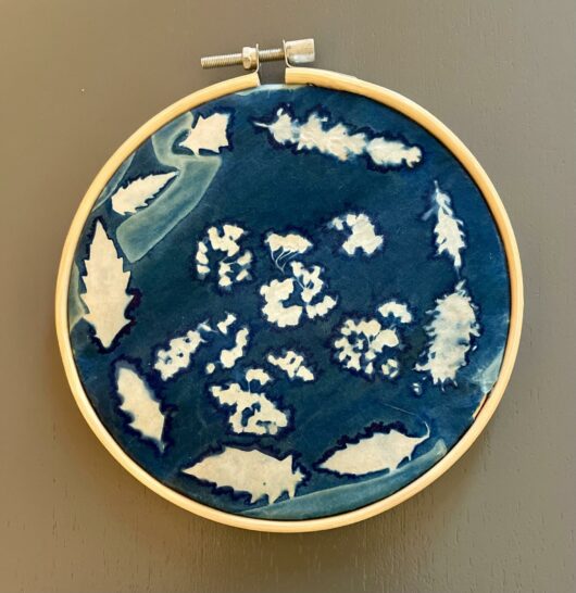 Cyanotype "bulle de bonheur" aux feuilles de lamier, lavande et hélichryse