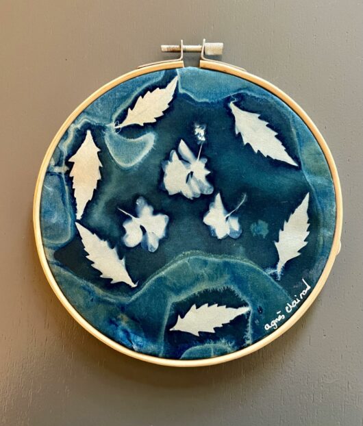 Cyanotype "bulle de bonheur" au lamier et trèfle